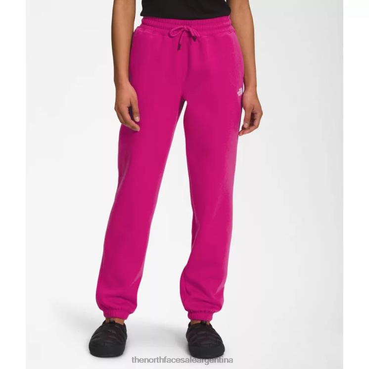 FFV045524 rosa fucsia The North Face pantalones deportivos de lana de media cúpula para mujer