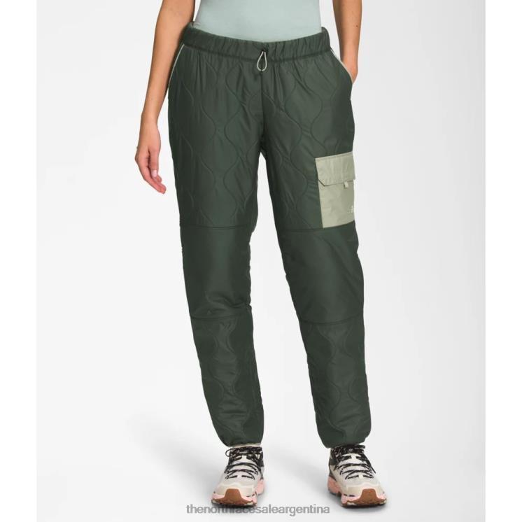 FFV046079 tomillo The North Face pantalones arco real mujer