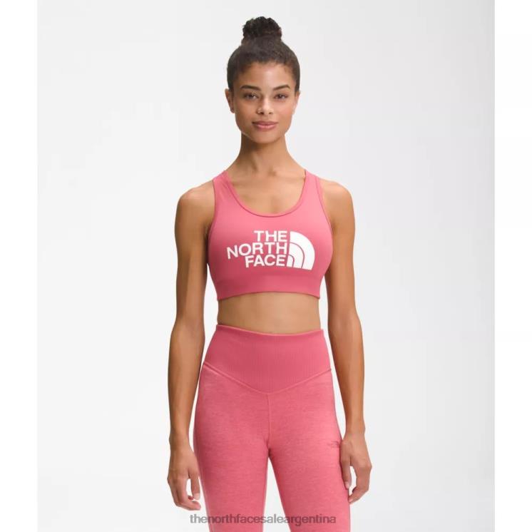 FFV044668 rosa pizarra The North Face sujetador de línea media para mujer