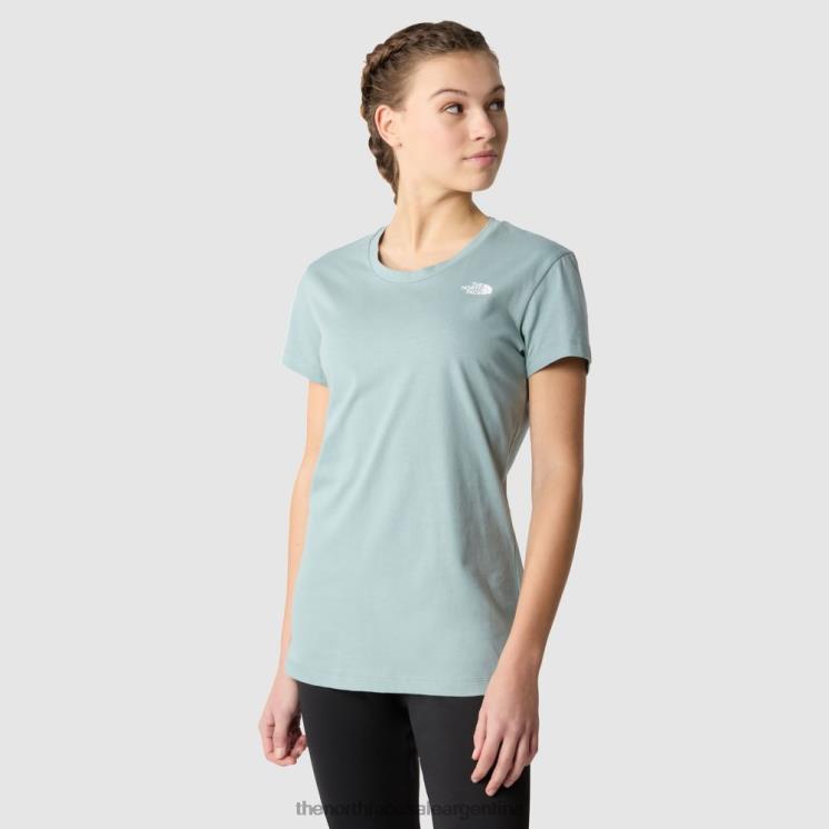 FFV0452 azul plateado The North Face camiseta nueva pico mujer