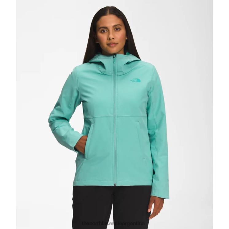 FFV043616 wasabi The North Face sudadera shelbe raschel mujer