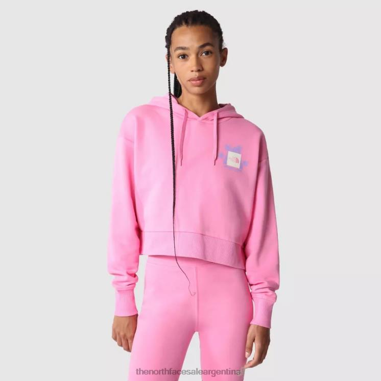 FFV042319 volante rosa The North Face las mujeres respetan la sudadera con capucha corta en el frente