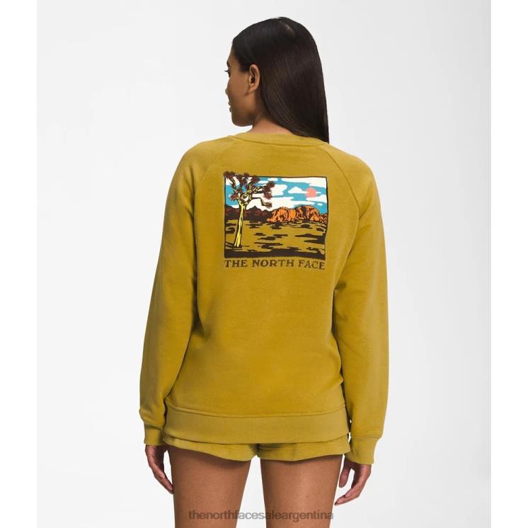 FFV045481 oro mineral The North Face equipo de inyección gráfica de mujeres