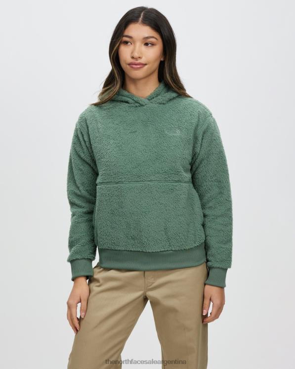 FFV047064 corona verde The North Face sudadera con capucha dunraven