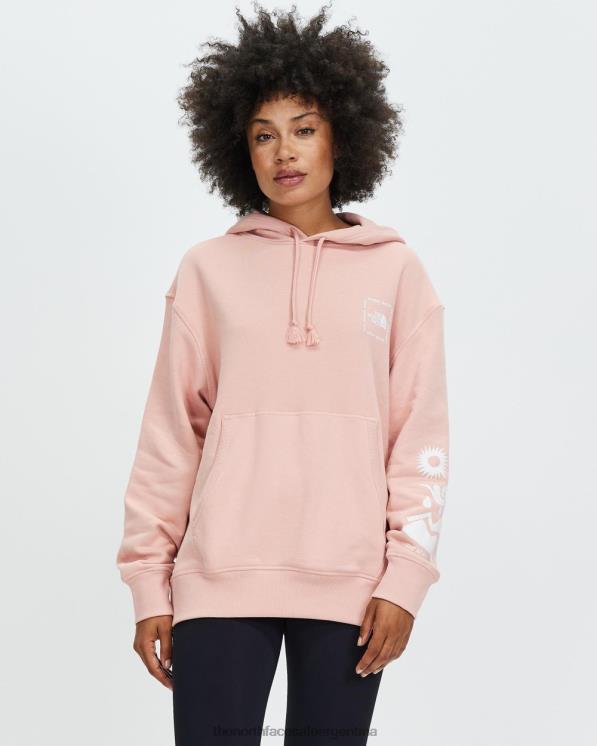 FFV047143 bronceado rosa The North Face sudaderas con capucha de himalayan Bottle Source