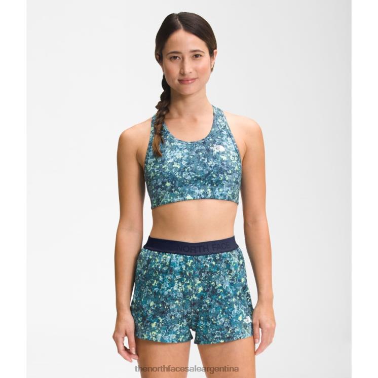 FFV044995 liquen azul The North Face sujetador de línea media estampado para mujer