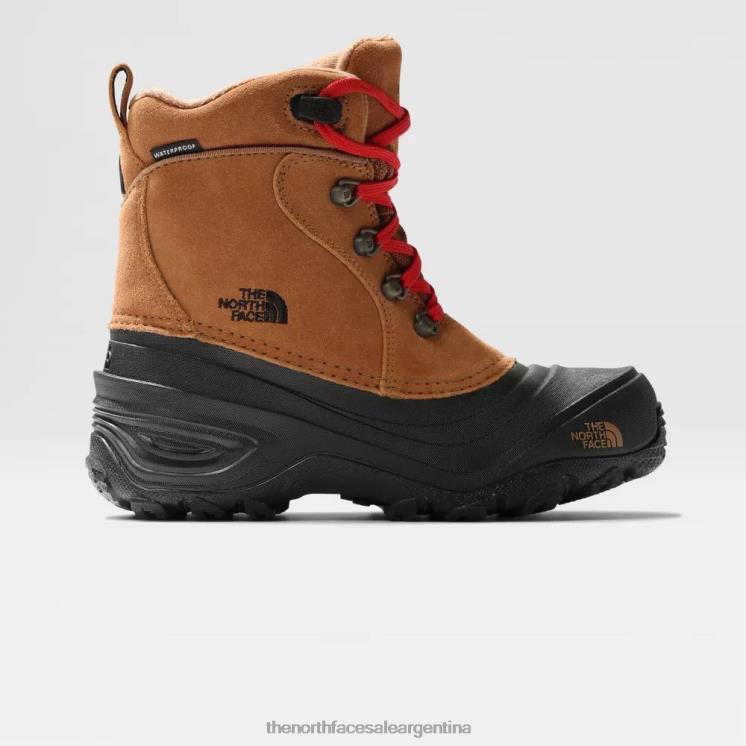 FFV041 marrón tostado The North Face botas de montaña chilkat lace ii para adolescentes
