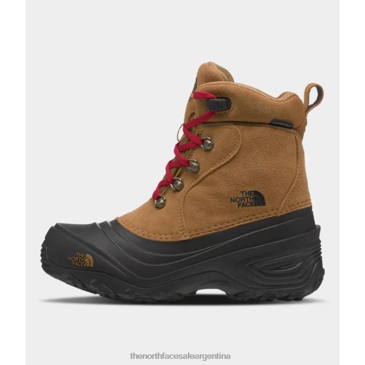 FFV043169 marrón tostado The North Face botas chilkat lace ii juveniles