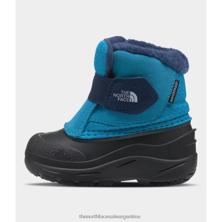 FFV043243 azul The North Face botas alpenglow ii para niño