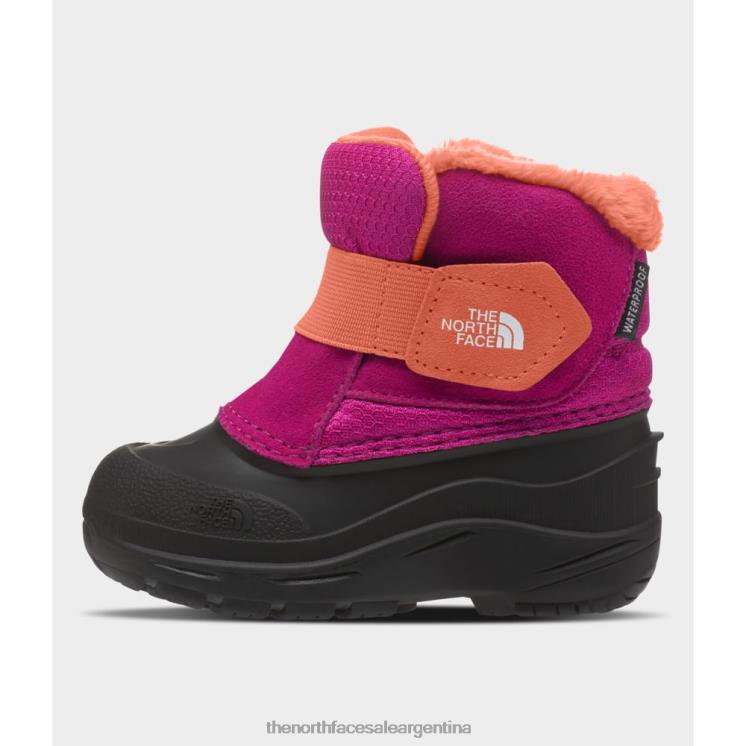 FFV043245 rosa fucsia The North Face botas alpenglow ii para niño