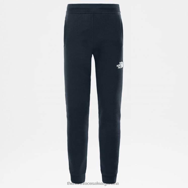FFV042296 cumbre marina The North Face pantalones polares juveniles