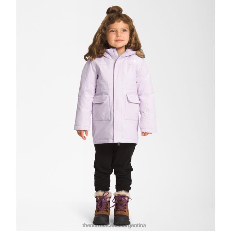 FFV045943 niebla de lavanda The North Face parka ártica para niños