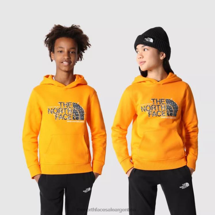 FFV042025 naranja The North Face sudaderas con capucha de Teen Drew Peak