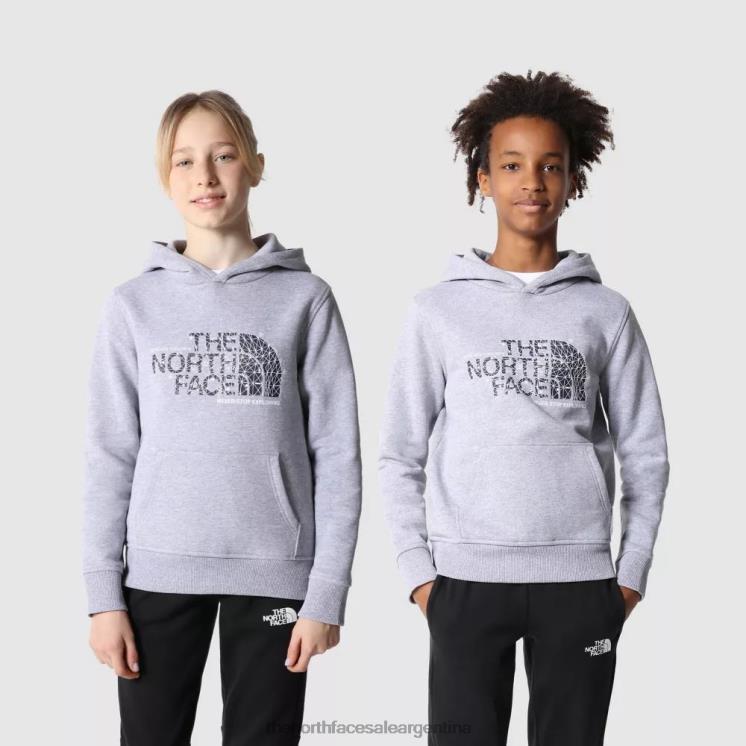 FFV042026 gris The North Face sudaderas con capucha de Teen Drew Peak