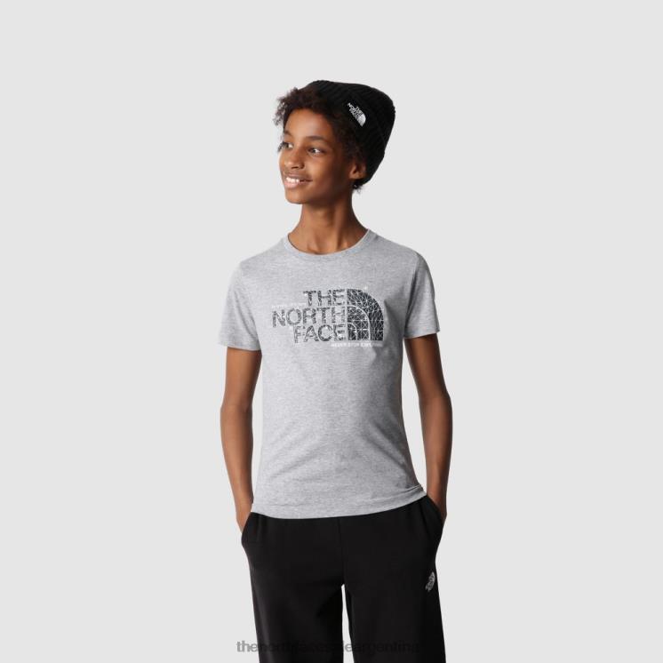 FFV042031 gris The North Face camiseta gráfica de manga corta para niño