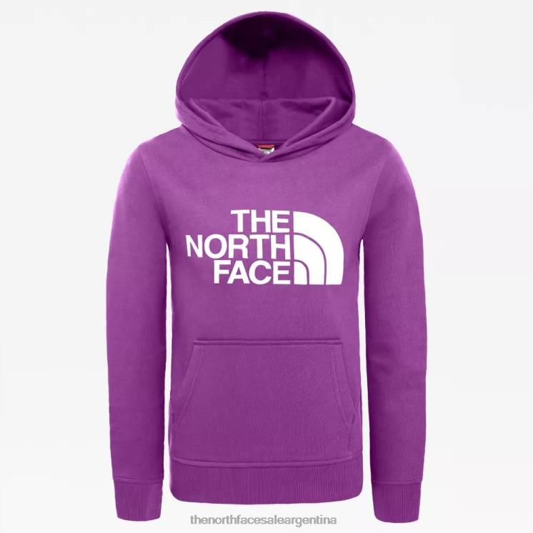 FFV042294 violeta dulce The North Face sudadera con capucha para jóvenes
