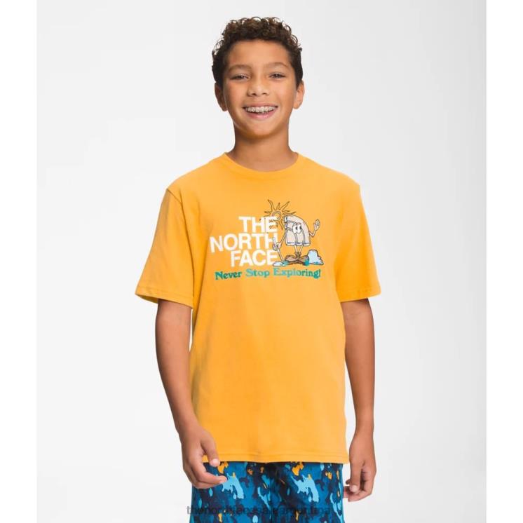 FFV044293 cumbre de oro The North Face camiseta gráfica de manga corta para niño
