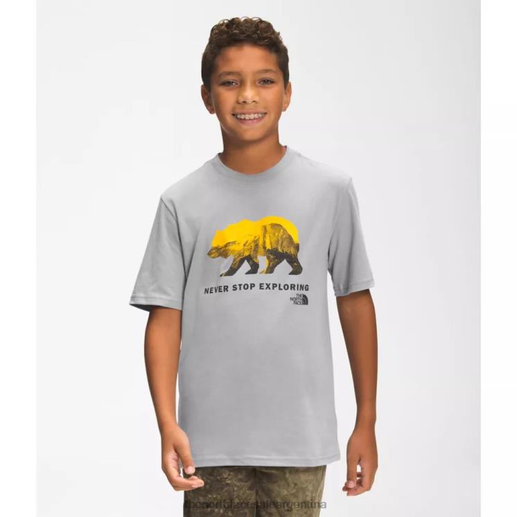 FFV044294 gris The North Face camiseta gráfica de manga corta para niño
