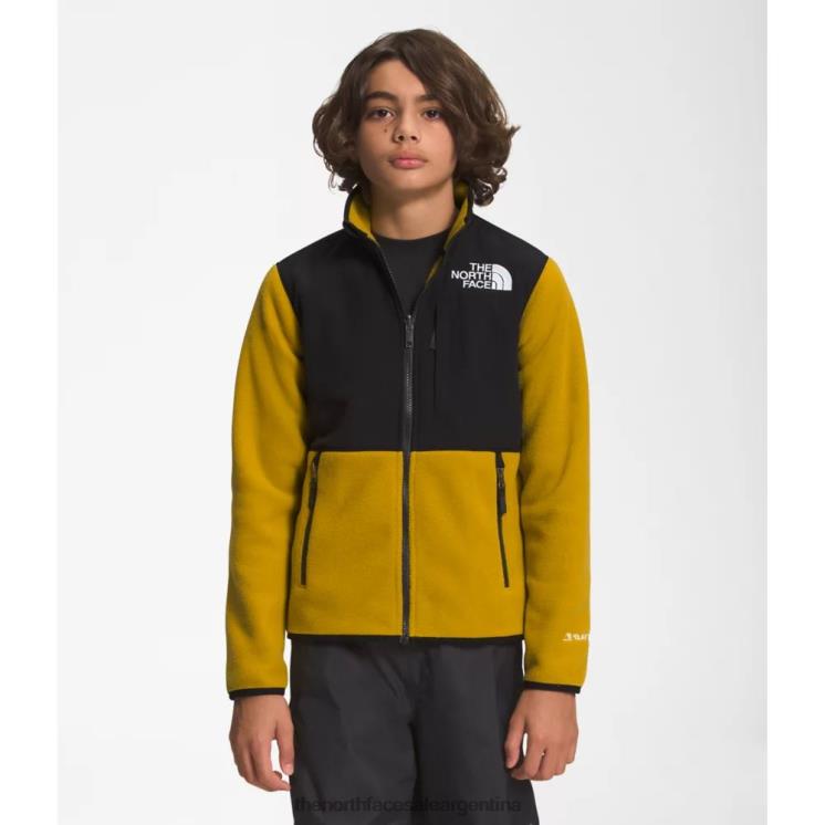 FFV045353 oro mineral The North Face chaqueta denali adolescente