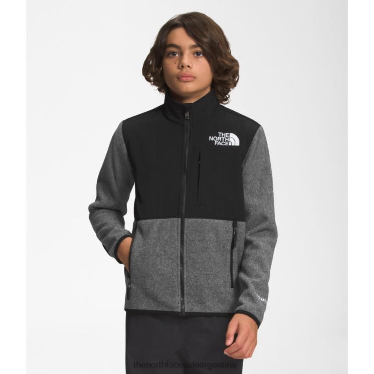 FFV045354 gris The North Face chaqueta denali adolescente