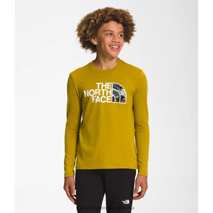 FFV045873 oro mineral The North Face camiseta gráfica de manga larga para niño