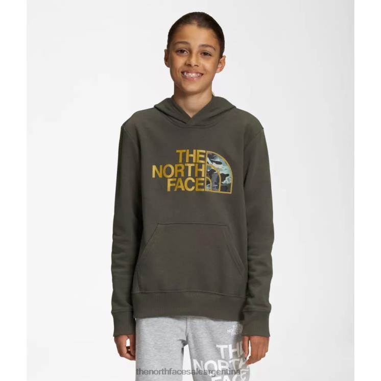 FFV045946 nuevo verde pardo The North Face sudadera con capucha y forro polar para niños