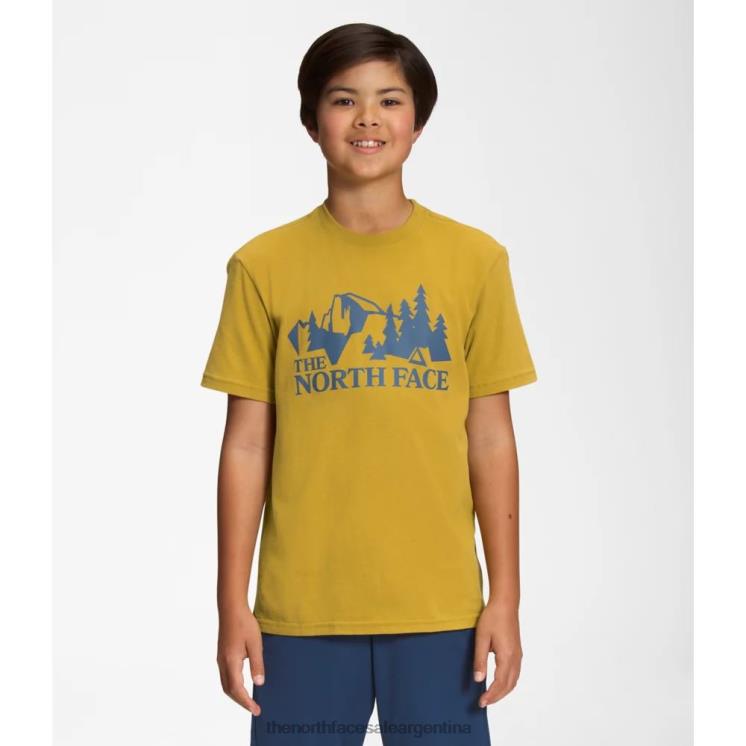 FFV045954 oro mineral The North Face camiseta gráfica de manga corta para niño