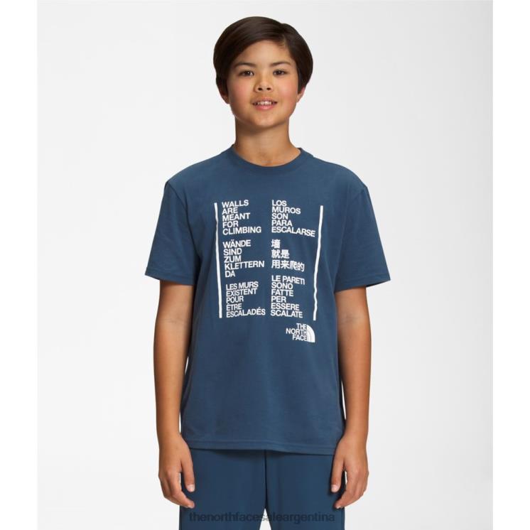 FFV045958 azul sombreado The North Face camiseta gráfica de manga corta para niño