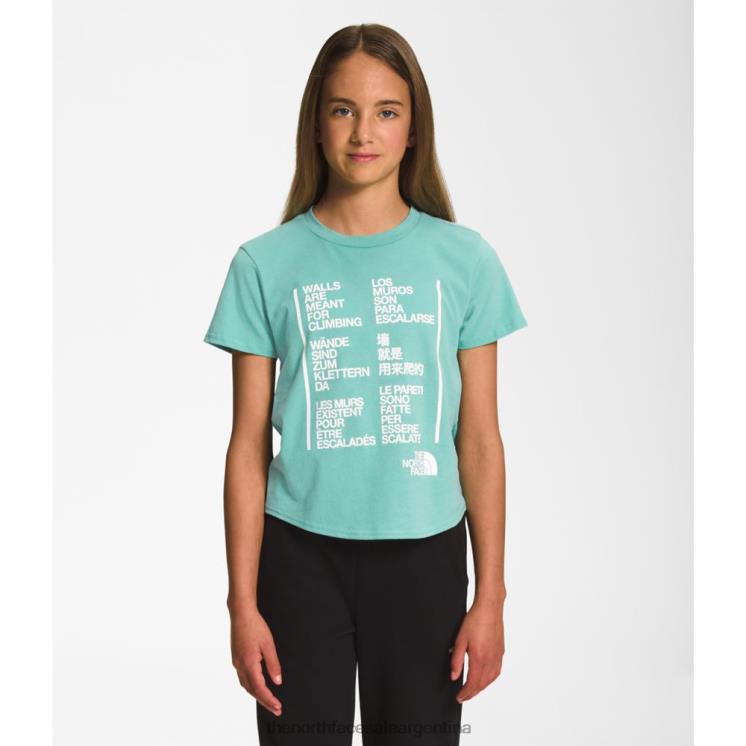 FFV045998 wasabi The North Face camiseta gráfica de manga corta para niñas