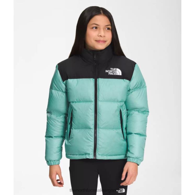 FFV046016 wasabi The North Face chaqueta nuptse retro adolescente 1996