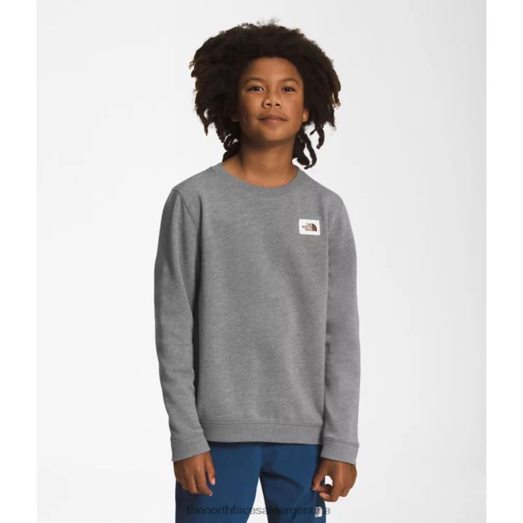 FFV046147 gris The North Face equipo de parche de herencia adolescente