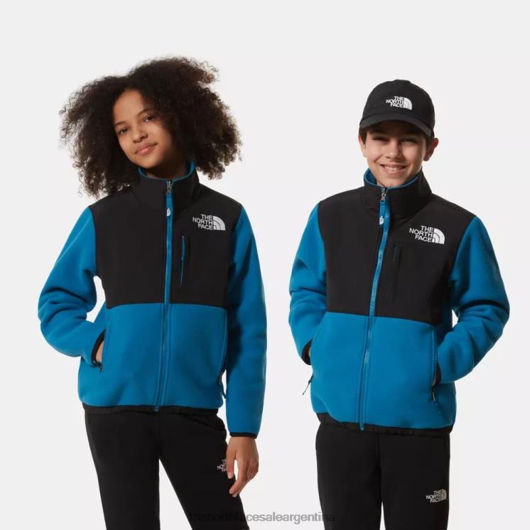 FFV04679 azul banff The North Face chaqueta denali retro para adolescente '95
